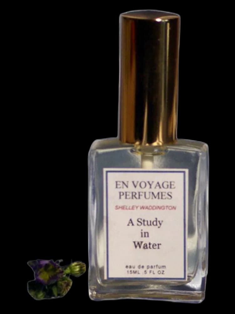 A Study In Water bottle