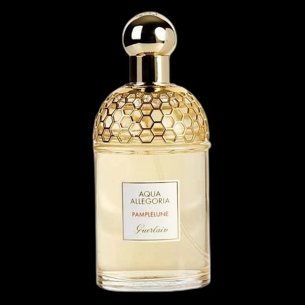 Aqua Allegoria Pamplelune bottle