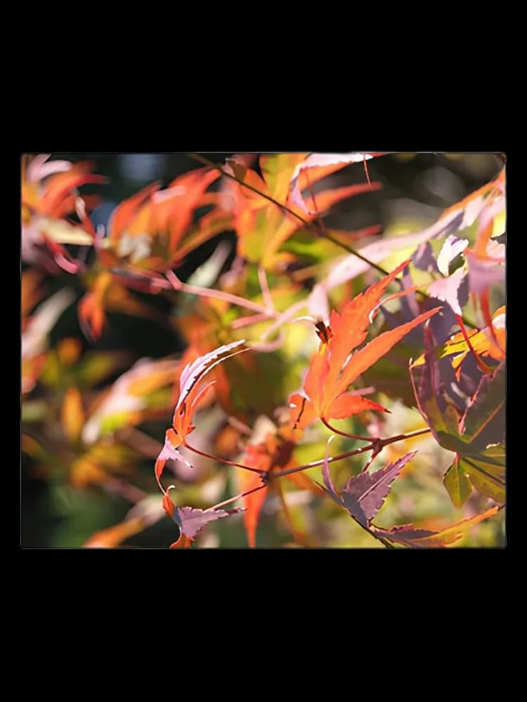 Autumn bottle