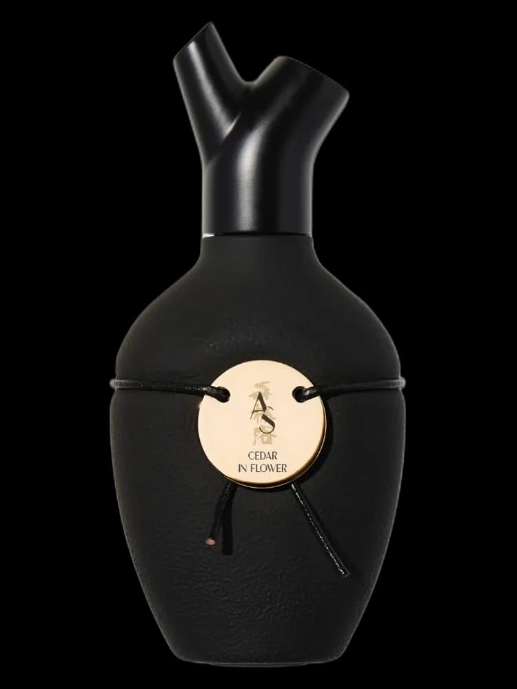 Cedar in Flower bottle