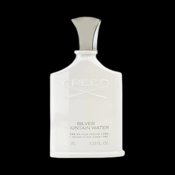 Silver Mountain Water bottle