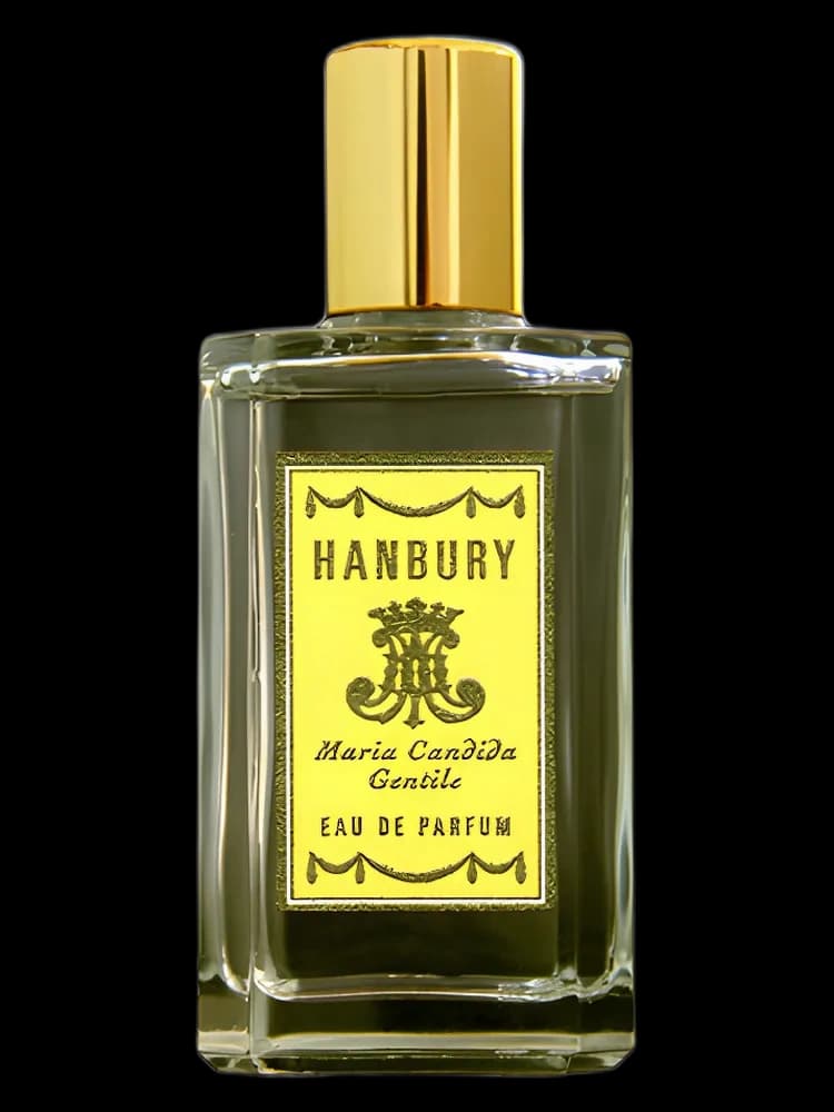 Hanbury bottle