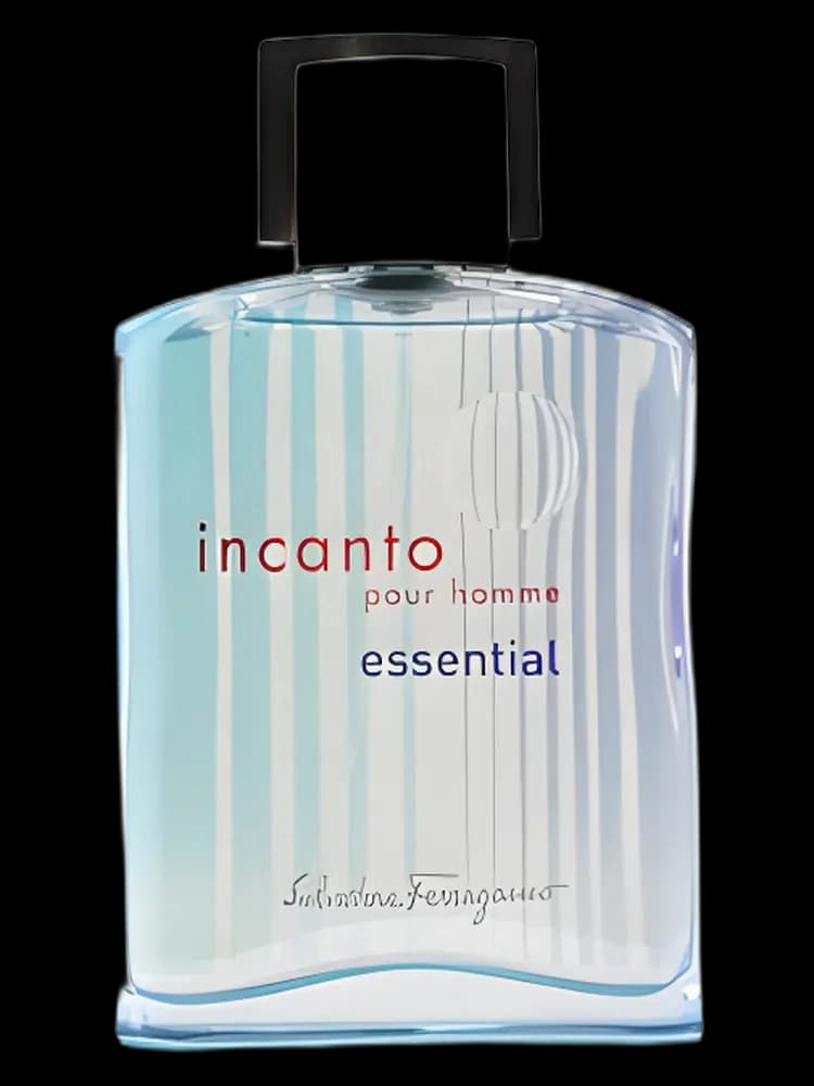 Incanto pour Homme Essential bottle