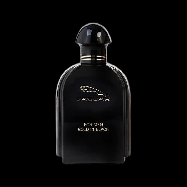 for Men Gold in Black bottle