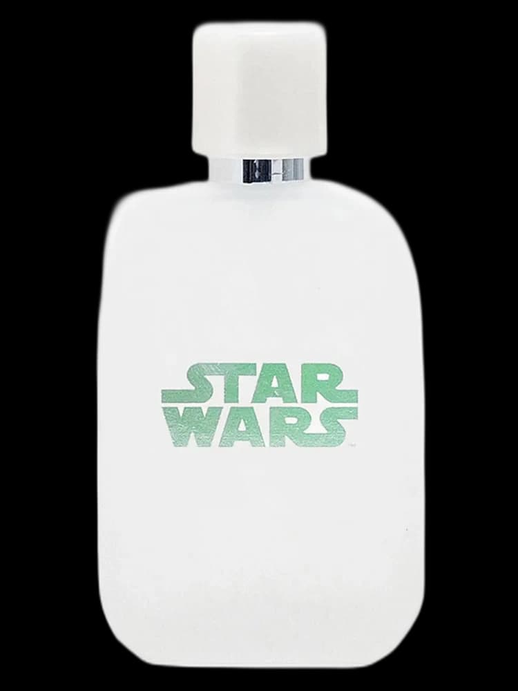 Star Wars for Girls bottle