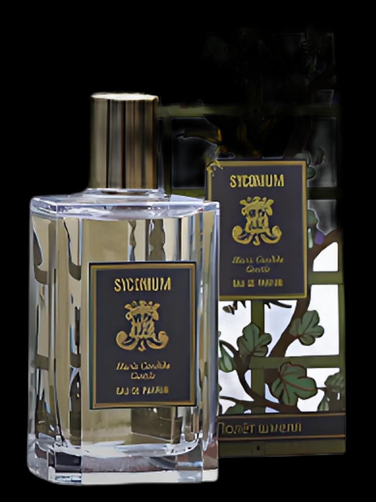 Syconium bottle