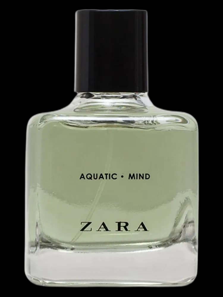Aquatic - Mind bottle