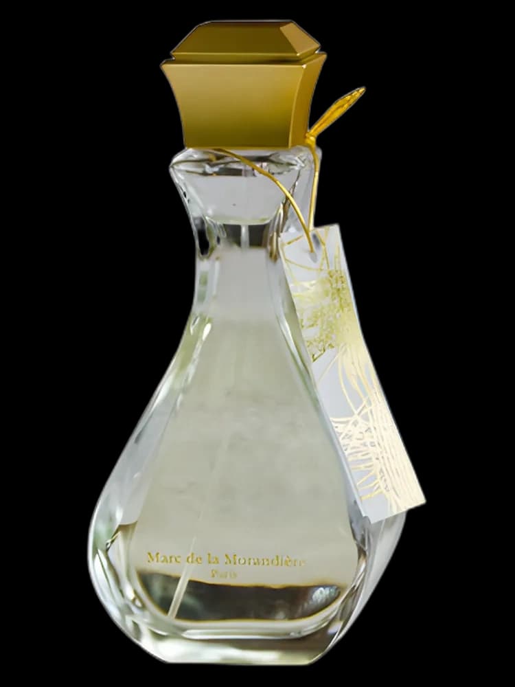 Kiyo bottle