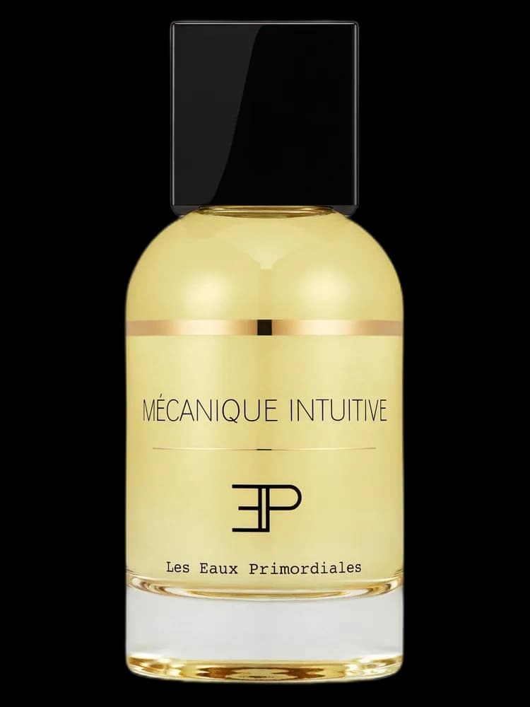 Mécanique Intuitive bottle