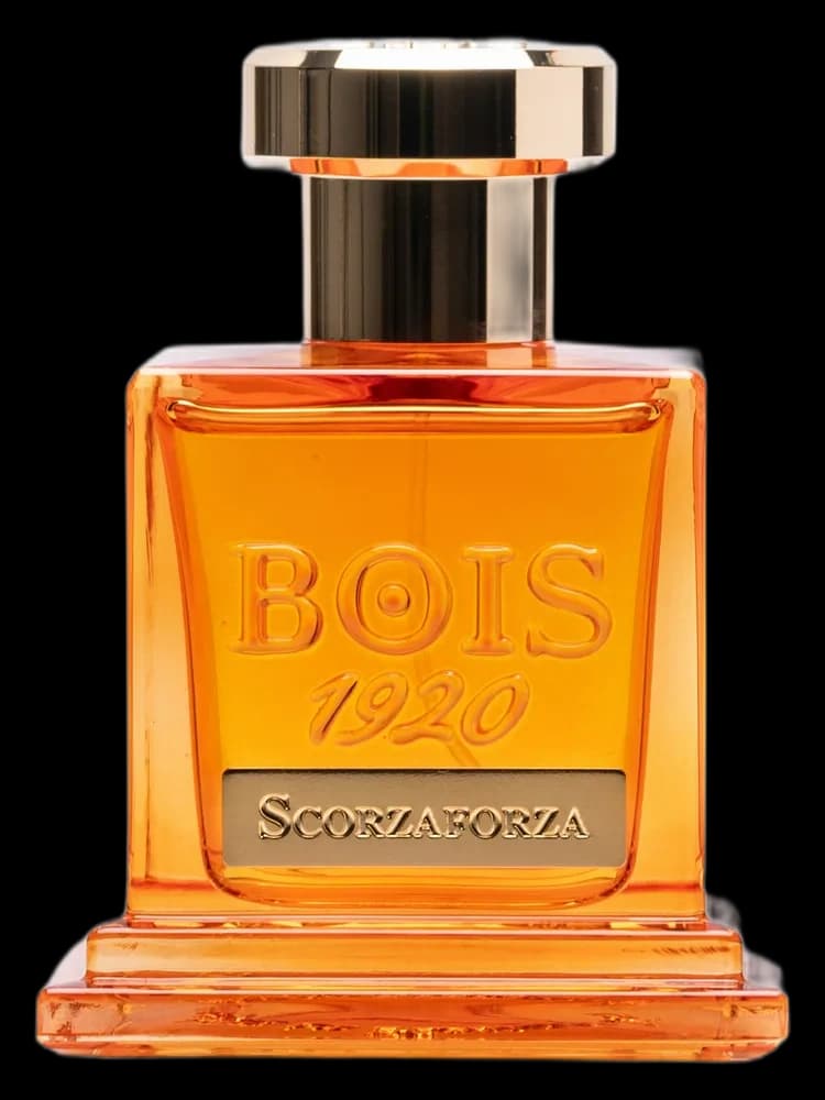 Scorzaforza bottle